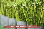 what-are-bamboo-sheets