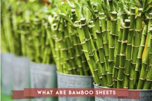 what are bamboo sheets