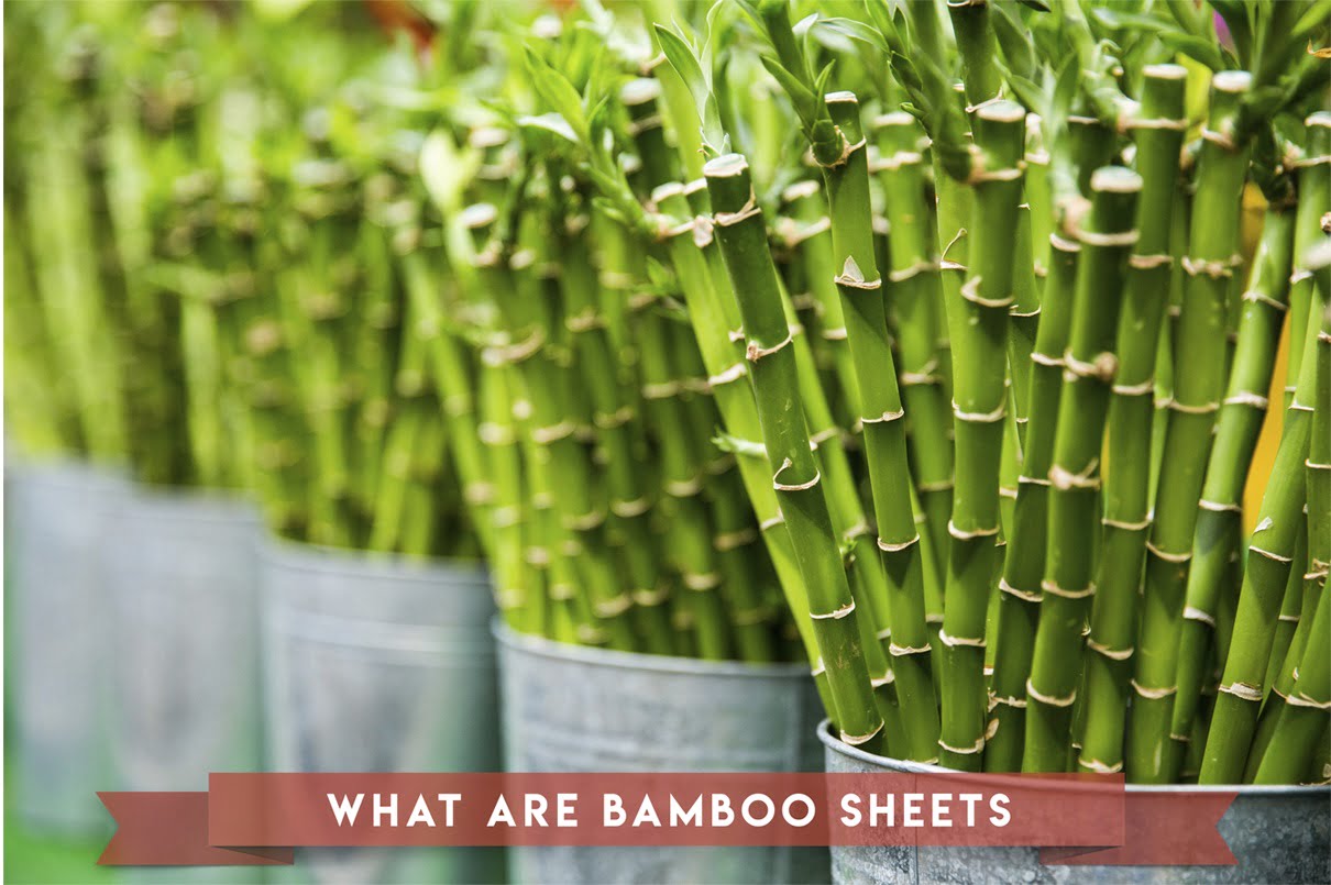 what are bamboo sheets