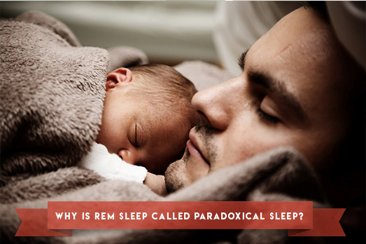 Why Is REM Sleep Called Paradoxical Sleep?